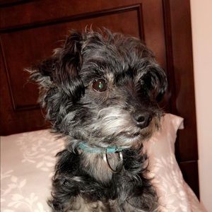 Meet your Posher, Sky